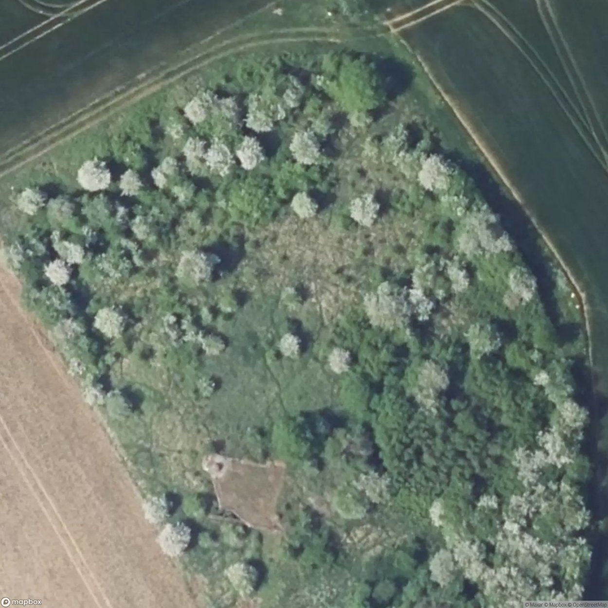 Maginot Line Casemate Bure [FRA]