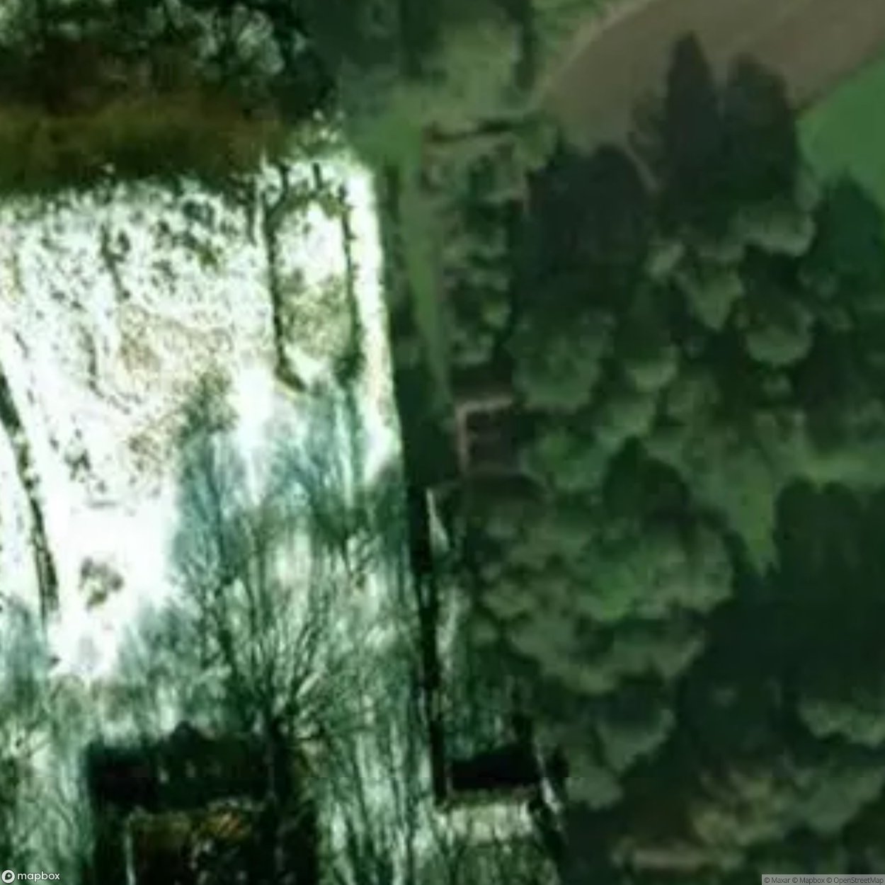 Ruined Palace in Żelazny Most [POL]