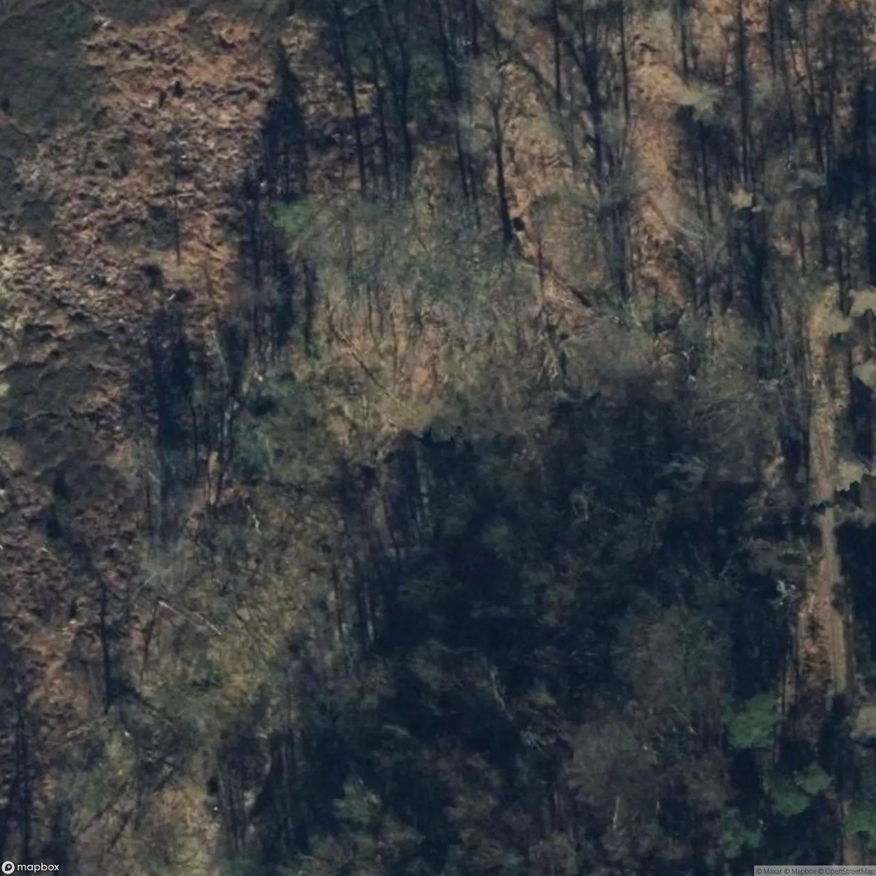 Volkmarshausen Tunnel [DEU]