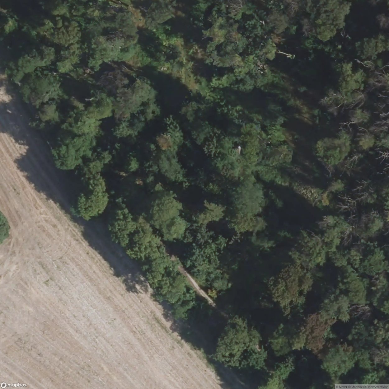 Forest Burial Grounds Halle [DEU]