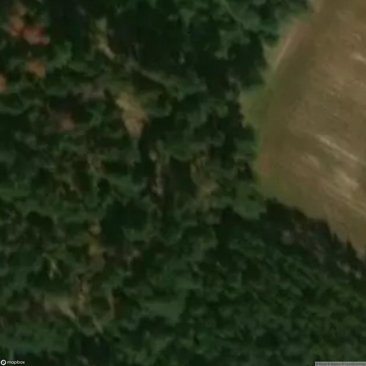 Historic Cemetery Studzianka [POL] #35829