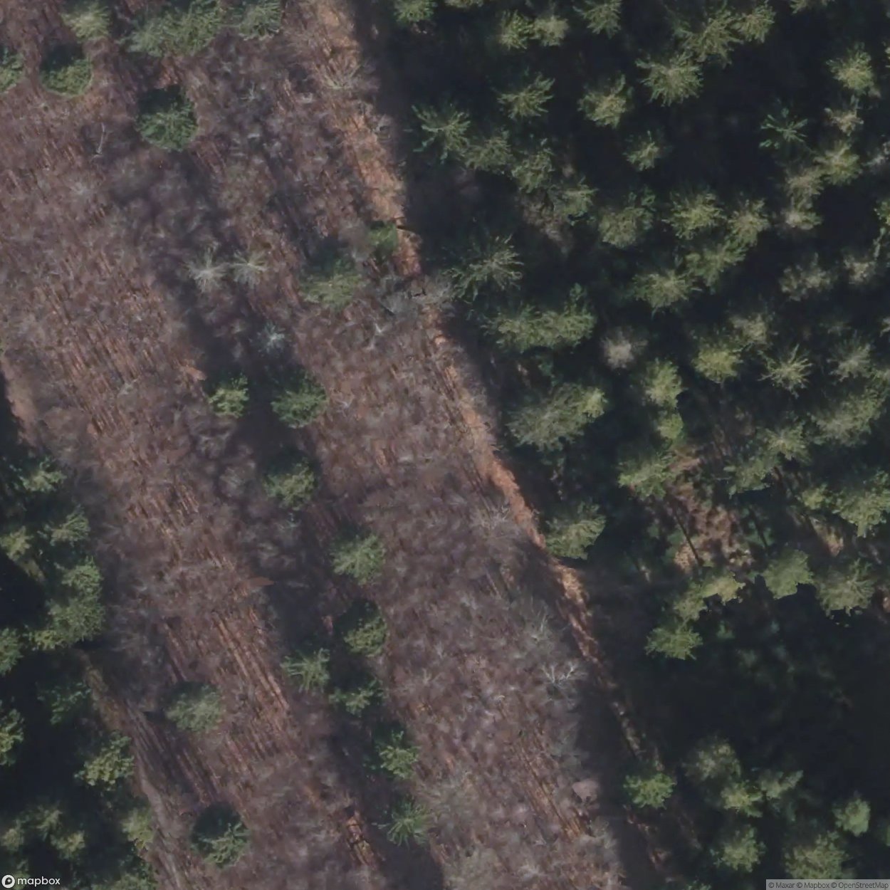 4x WW2 Bunkers Simonskall / Simmerath [DEU]