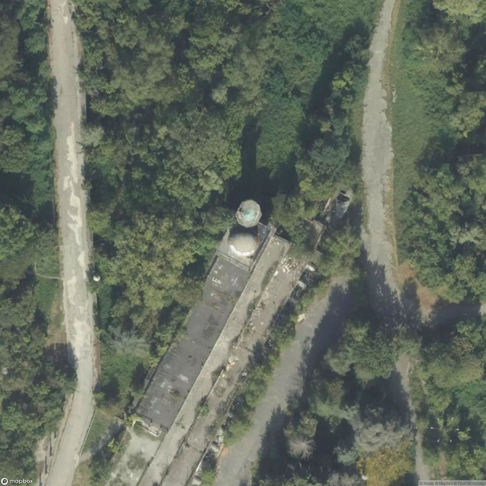 Consonno Needle [ITA] #05761