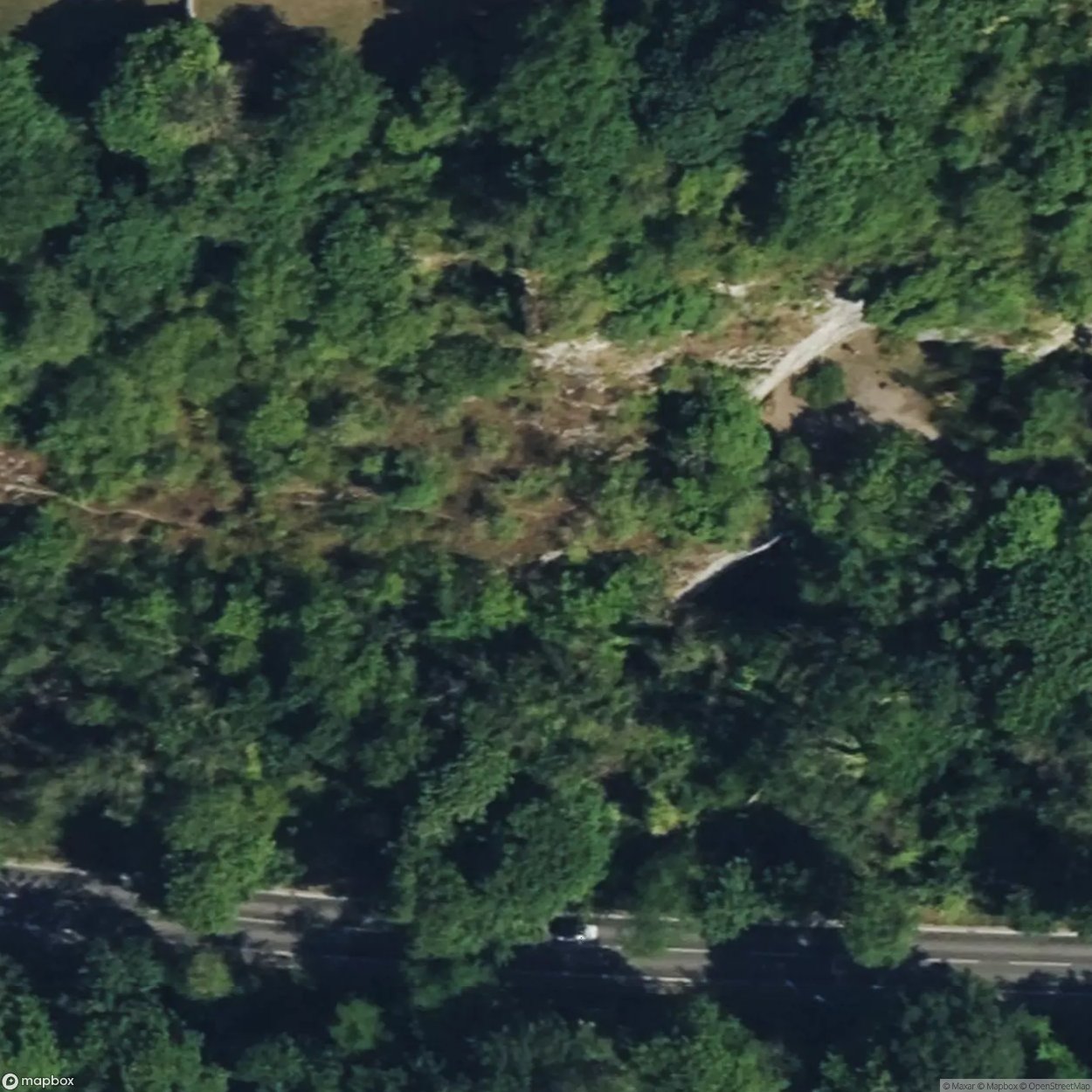 Bridge Carpentry Bridge Woodworking [GBR] #10384