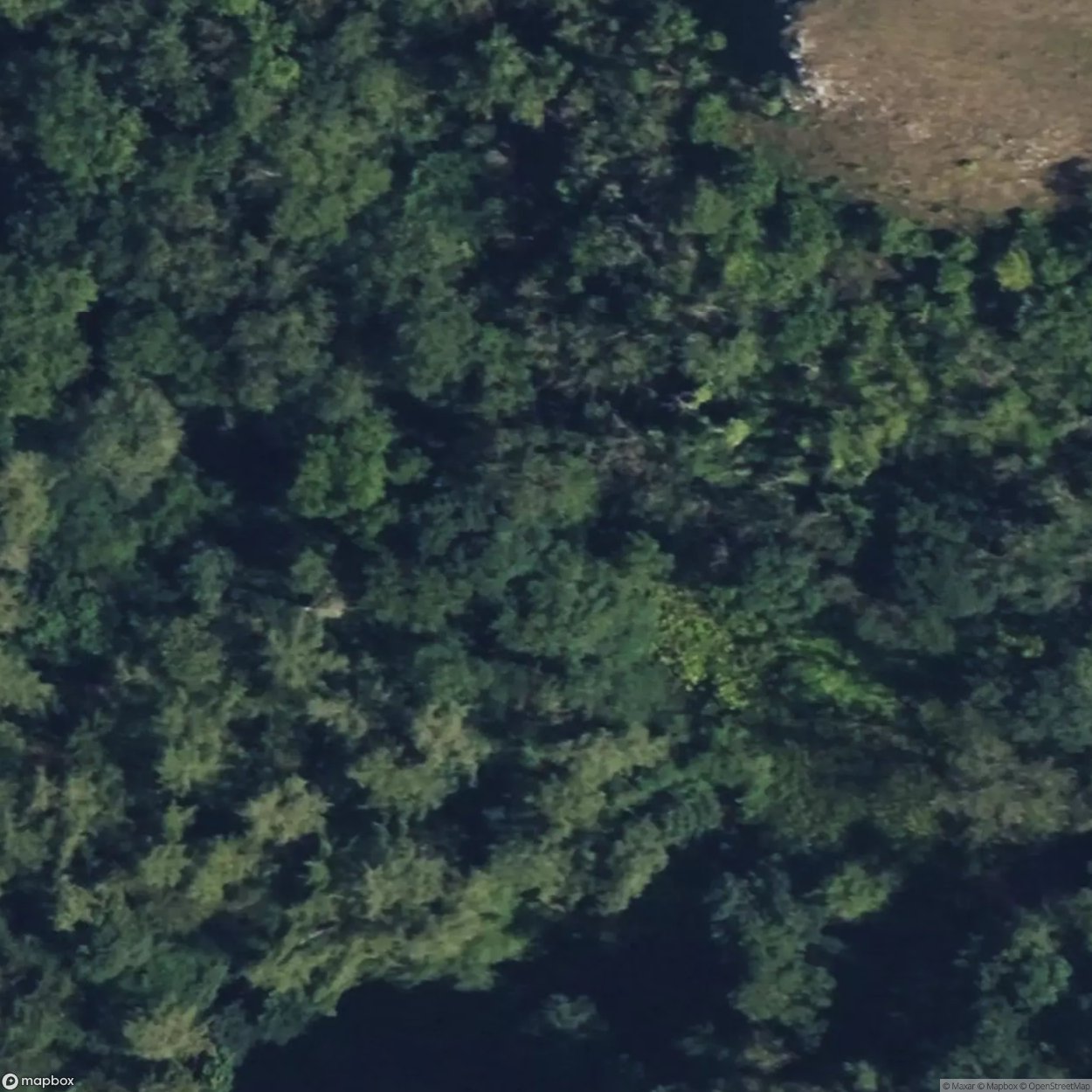 Wormhill Springs 2 [GBR]