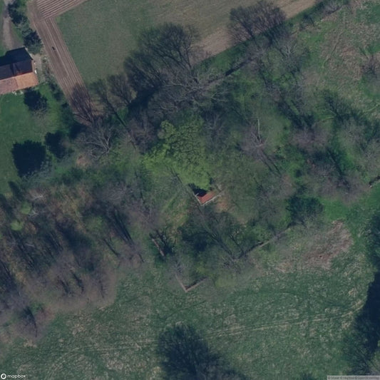 Family Trio (Chapel) [POL]