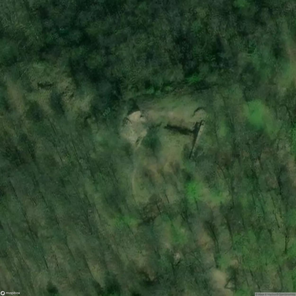 Rogowiec Castle Ruins [POL] #11786