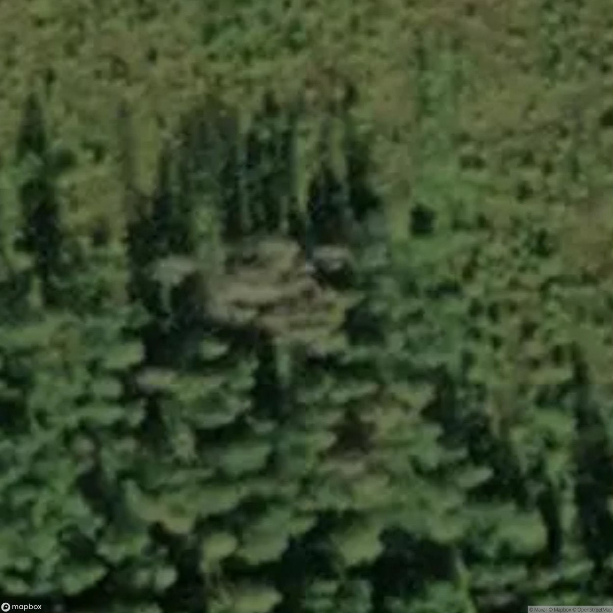 Forest Brothers Bunker Lebavere [EST]