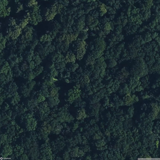 Knowle Wood Mine [GBR]