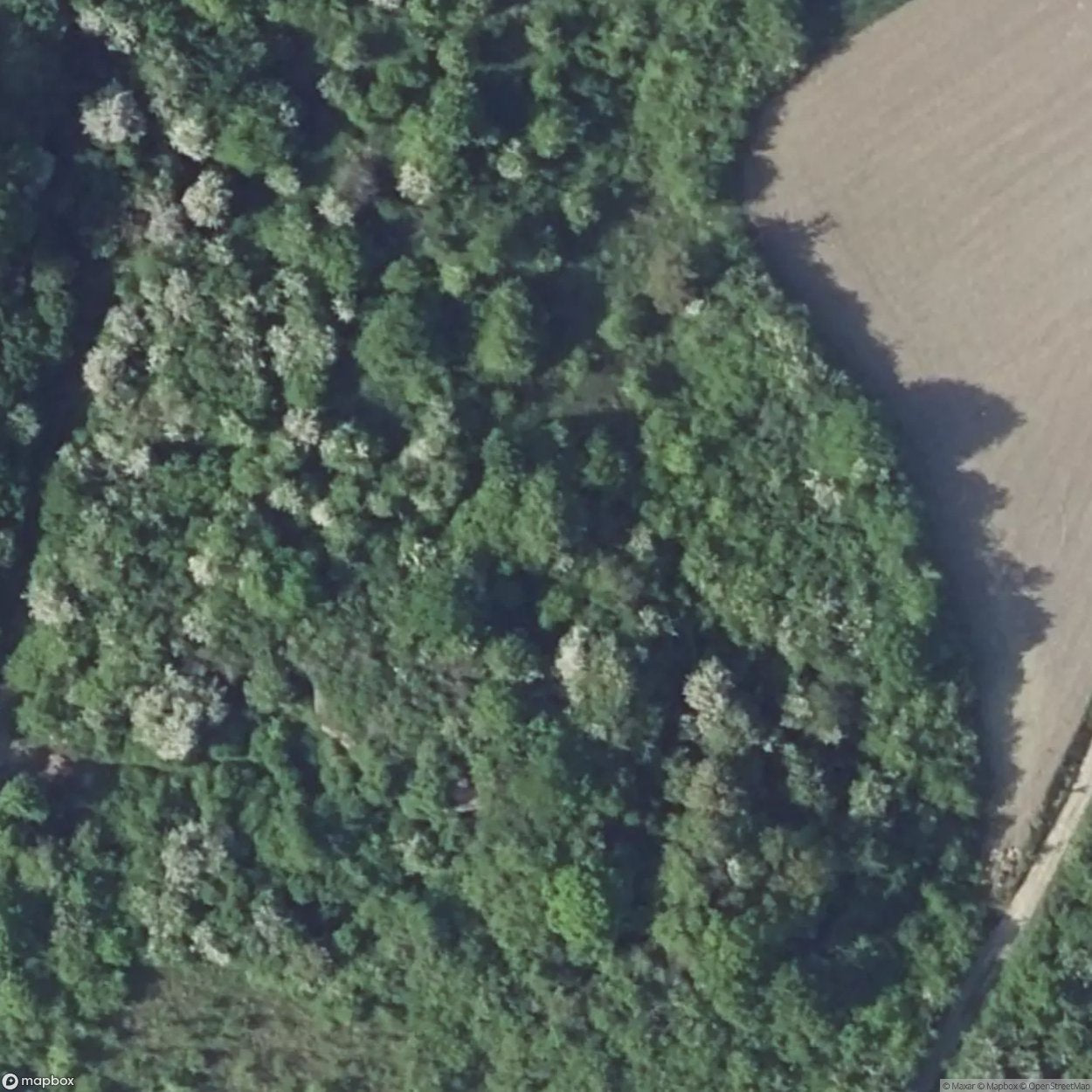 Coume Annex South Fortification 1 [FRA]