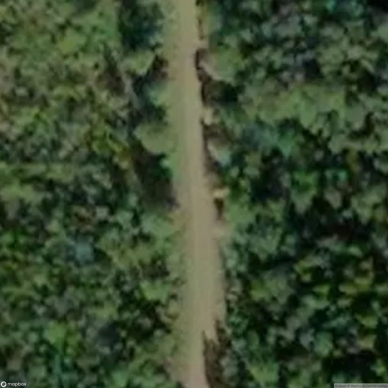 Lost Treehouse [SWE]