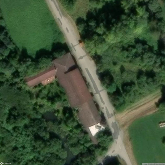 Bar “1981” [AUT]