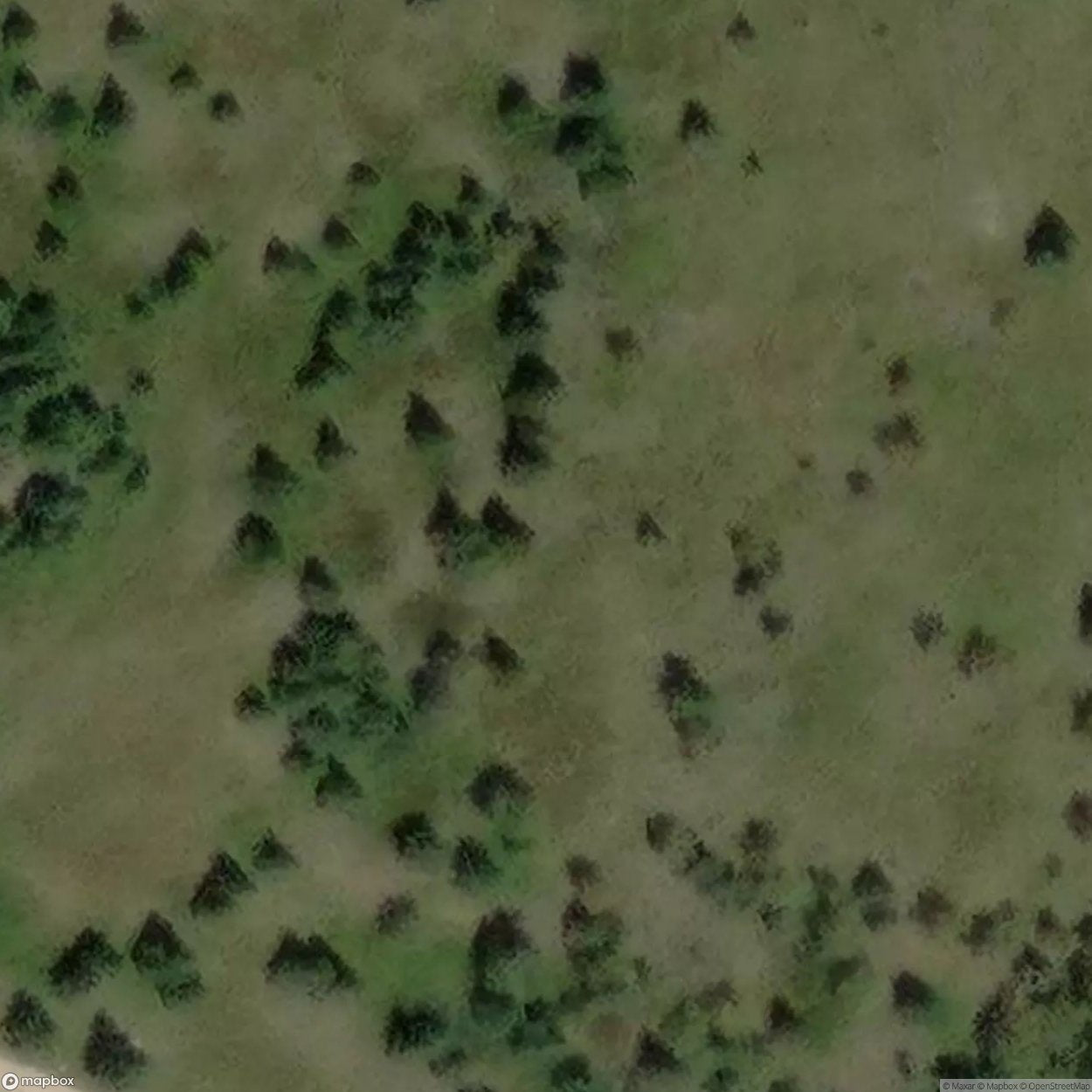 Peat Pit [POL] #08574