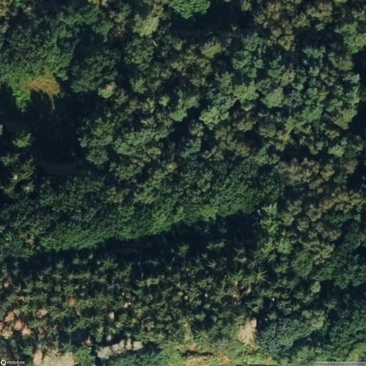 Railway Wagon in the Forest [DEU]