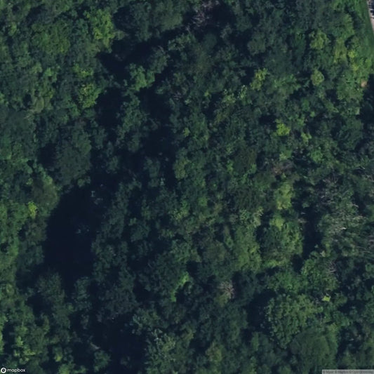 Sidcot Swallet [GBR]