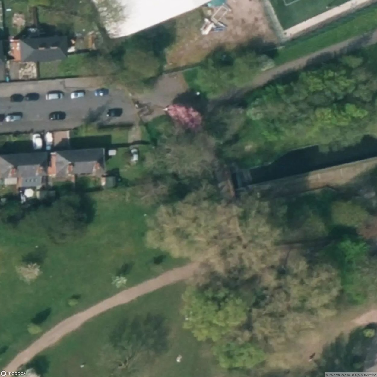 Arachnophobia (Fallowfield Darkie) [GBR]