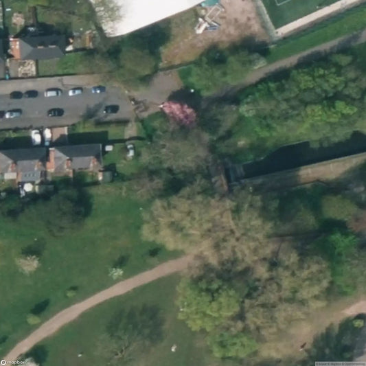 Arachnophobia (Fallowfield Darkie) [GBR]