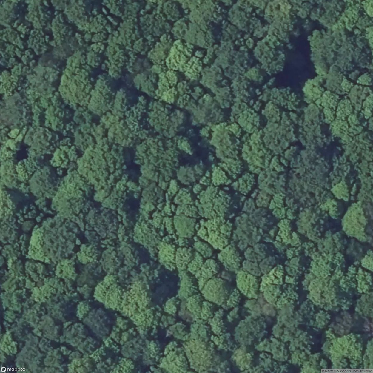 Latiremont Block 5 [FRA]