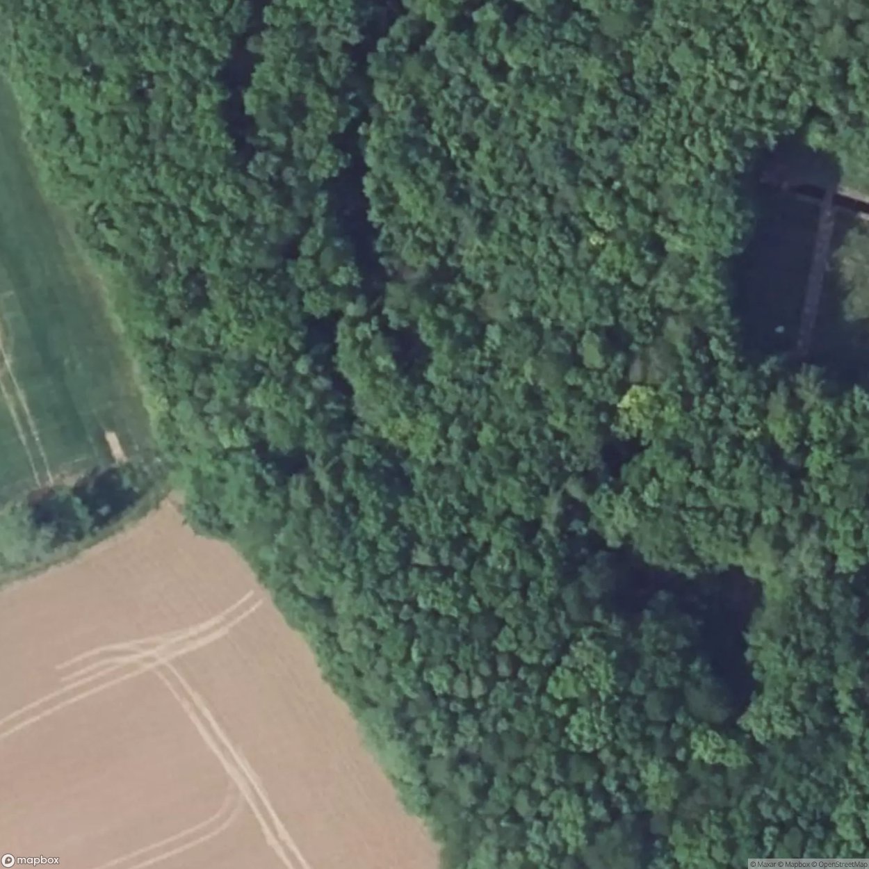 Abri X Rochonvillers Forest [FRA] #15394