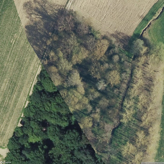 Bunker Trail / Artillery Observation [FRA]