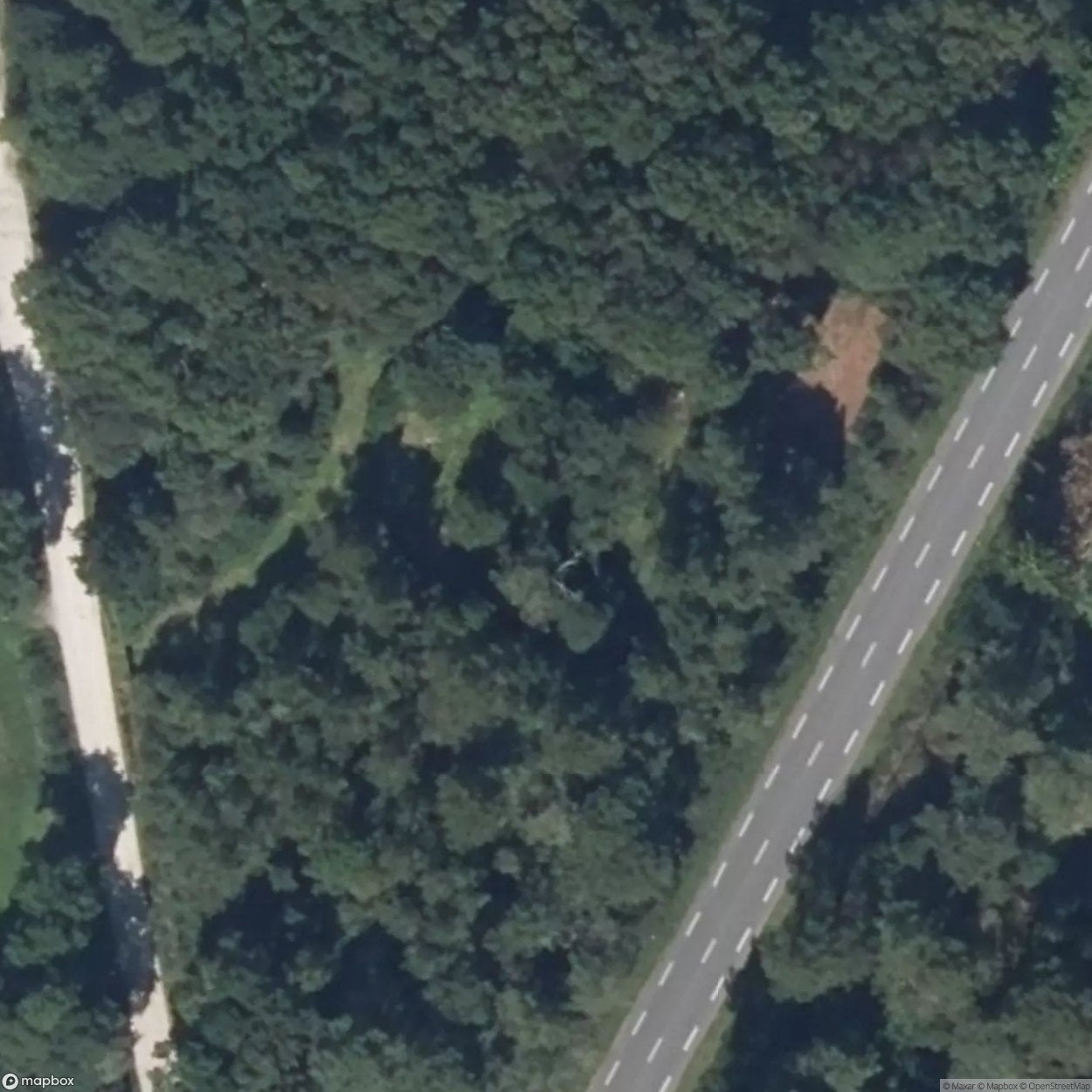 Car in the Woods [FRA]