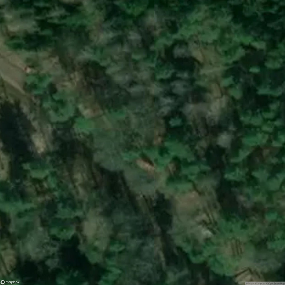 Lonely Grave [POL] #11395