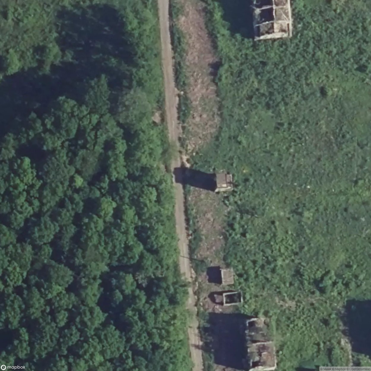 Lost in the Woods [FRA]