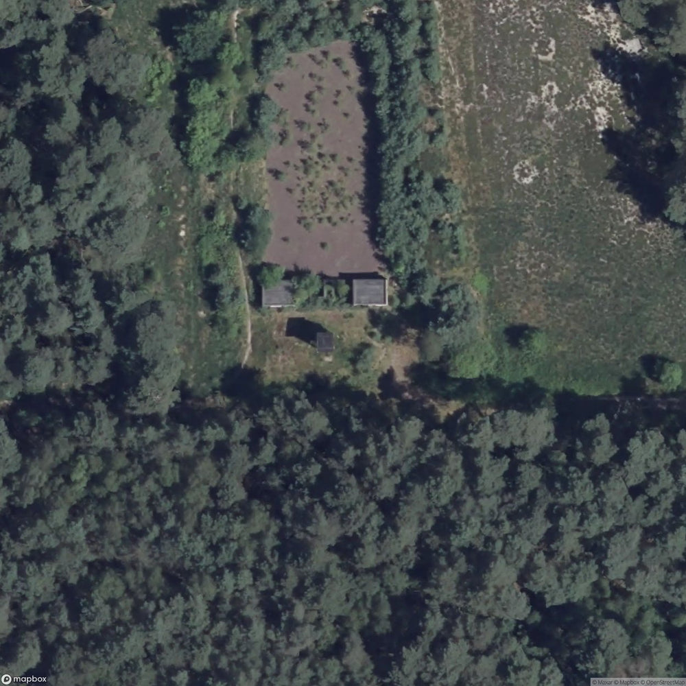 Racton Ruins [DEU] #19026