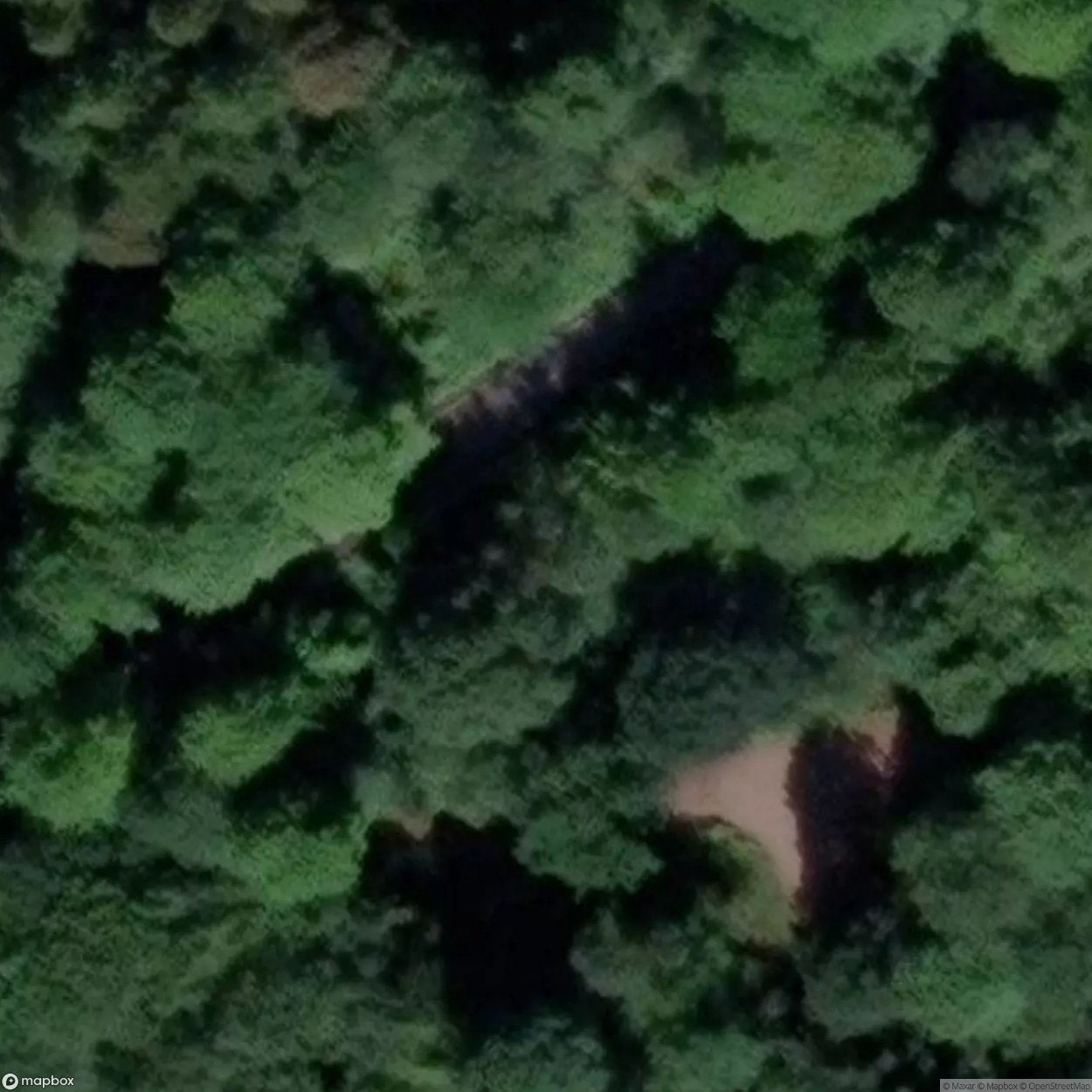 Speedwell Shaft [GBR]