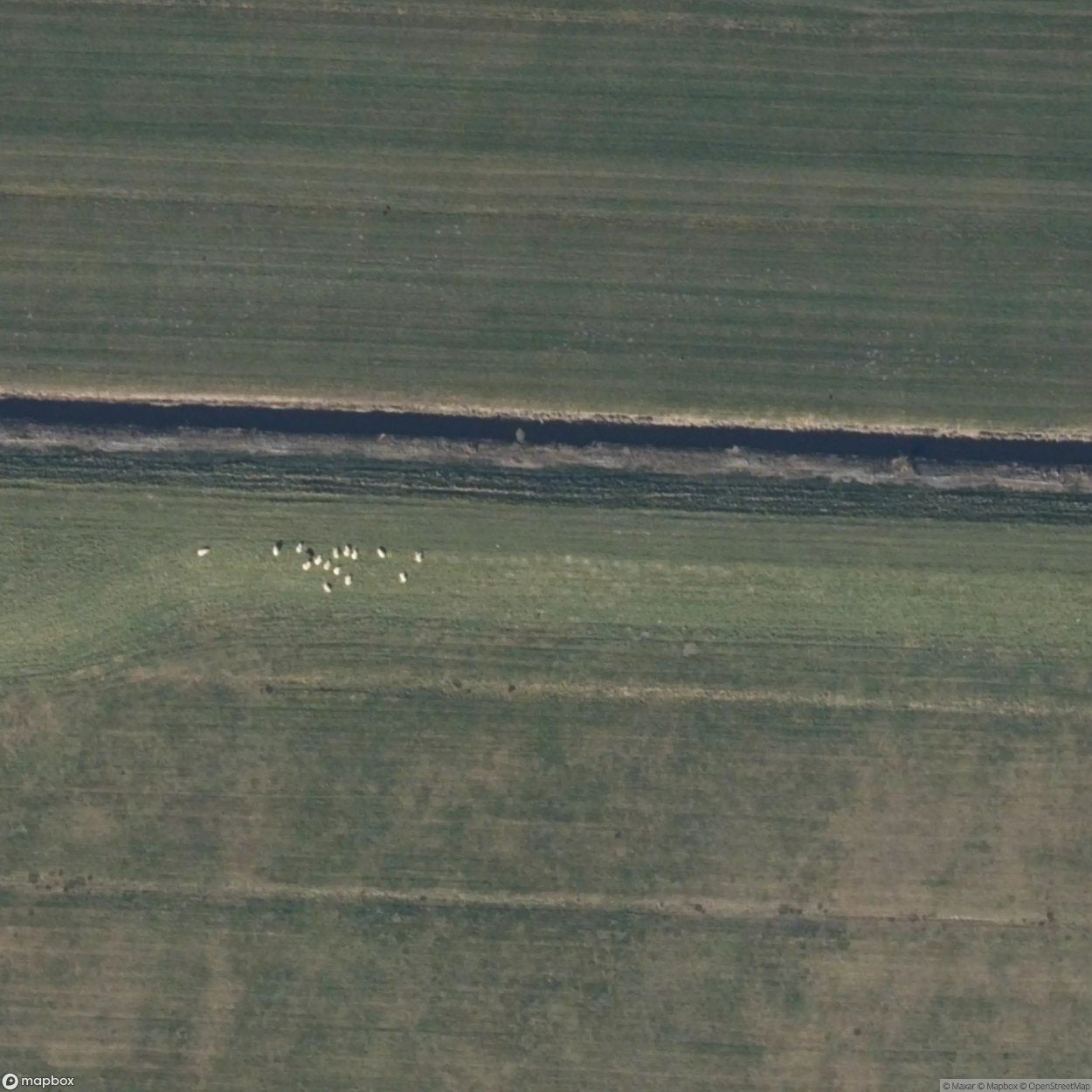 Bergen Airfield [NLD]