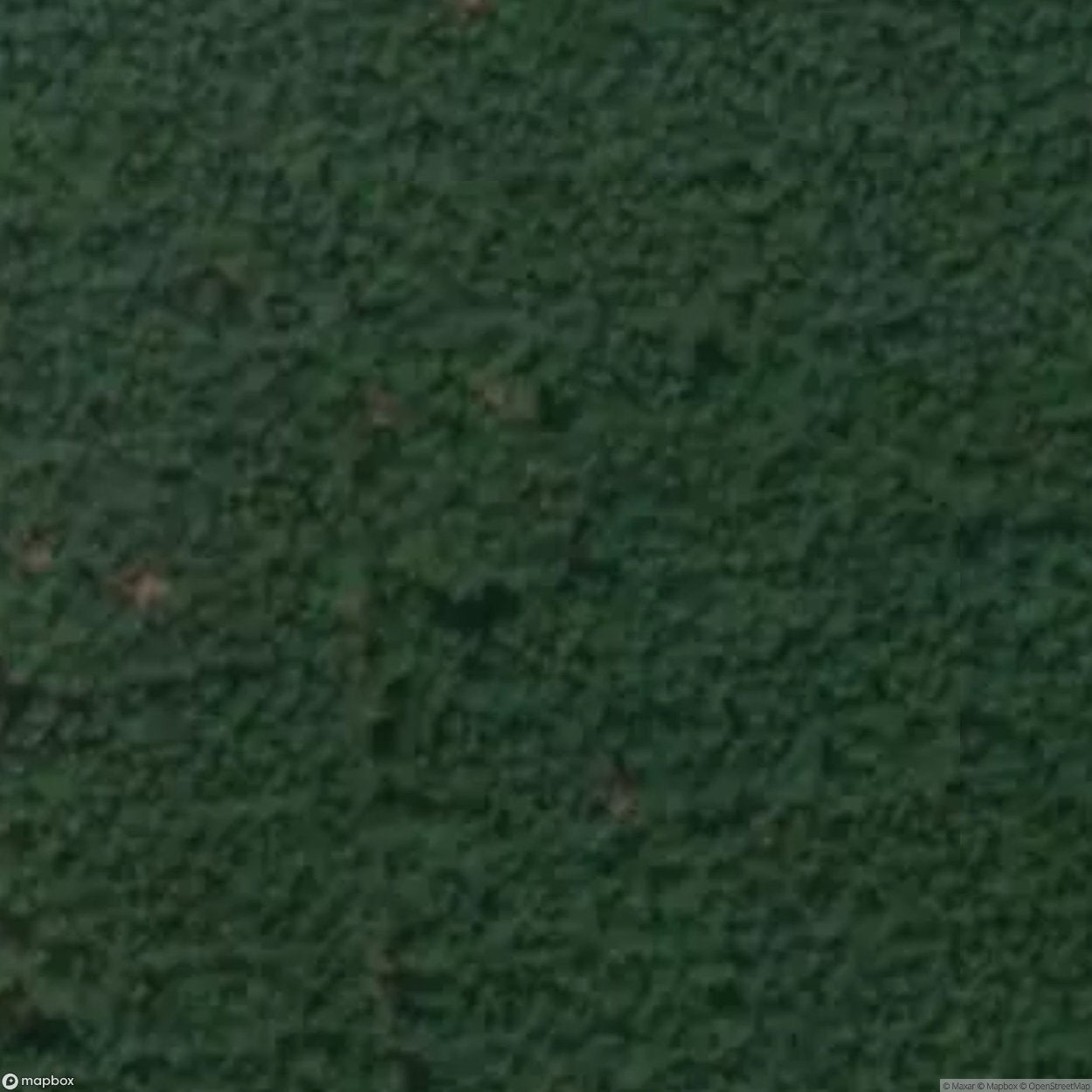 Forest Hotel Seerose [DEU]