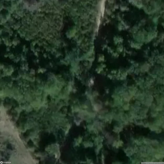 Sacred oak (natural monument) [DEU]