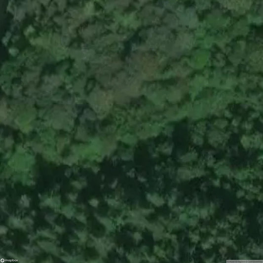 Neidpath Tunnel [GBR]