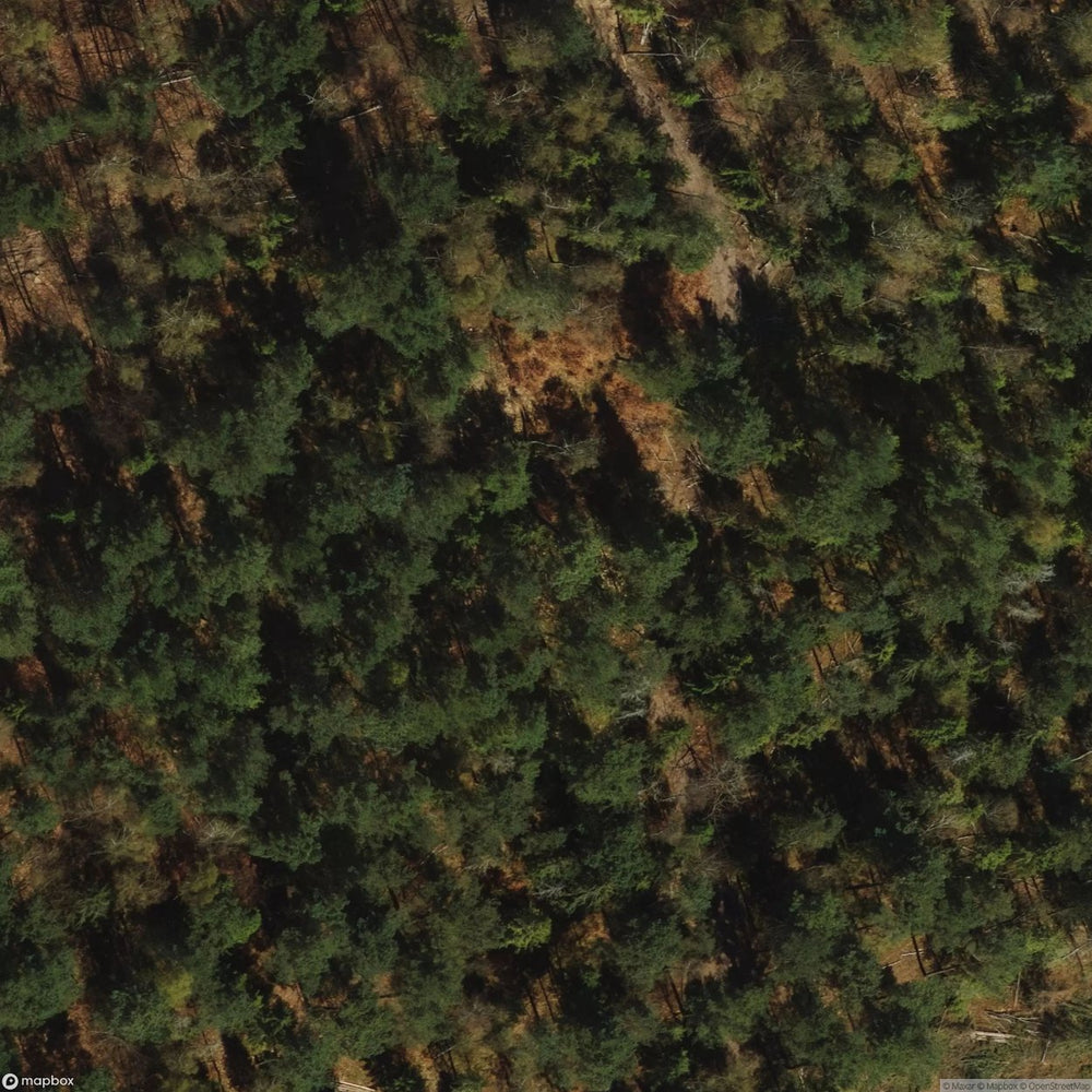 Historic Cemetery Wejherowo [POL] #35832