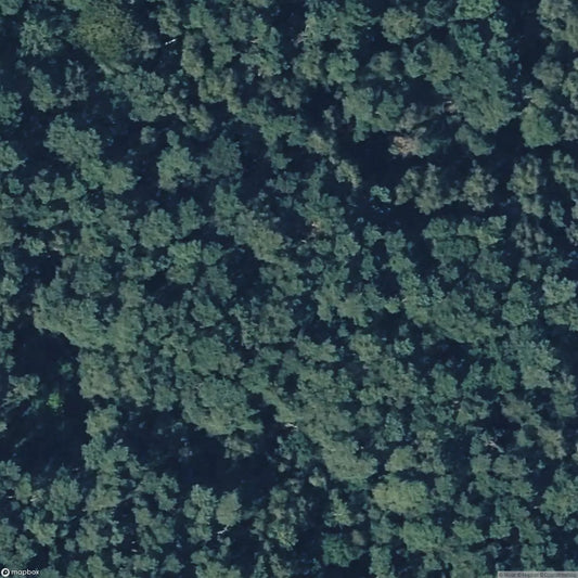 Besenhorster Sand Hills and Elbe Sand Meadows [DEU]