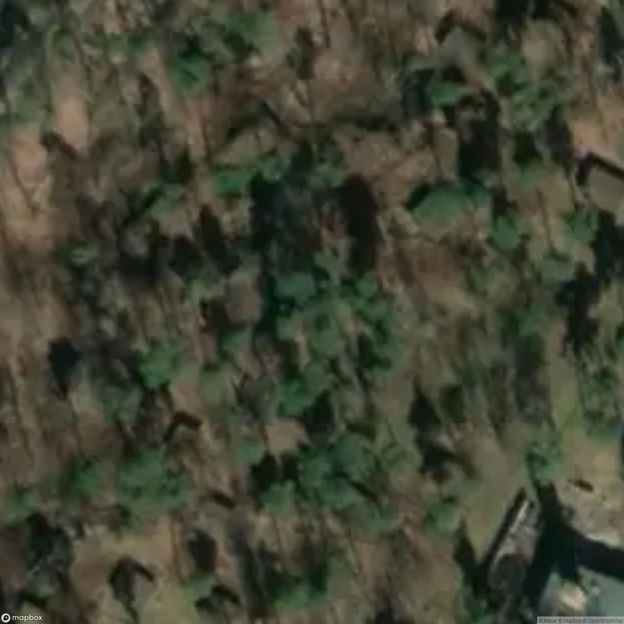 Tents of the Pioneer Camp "Karl Marx" [DEU]