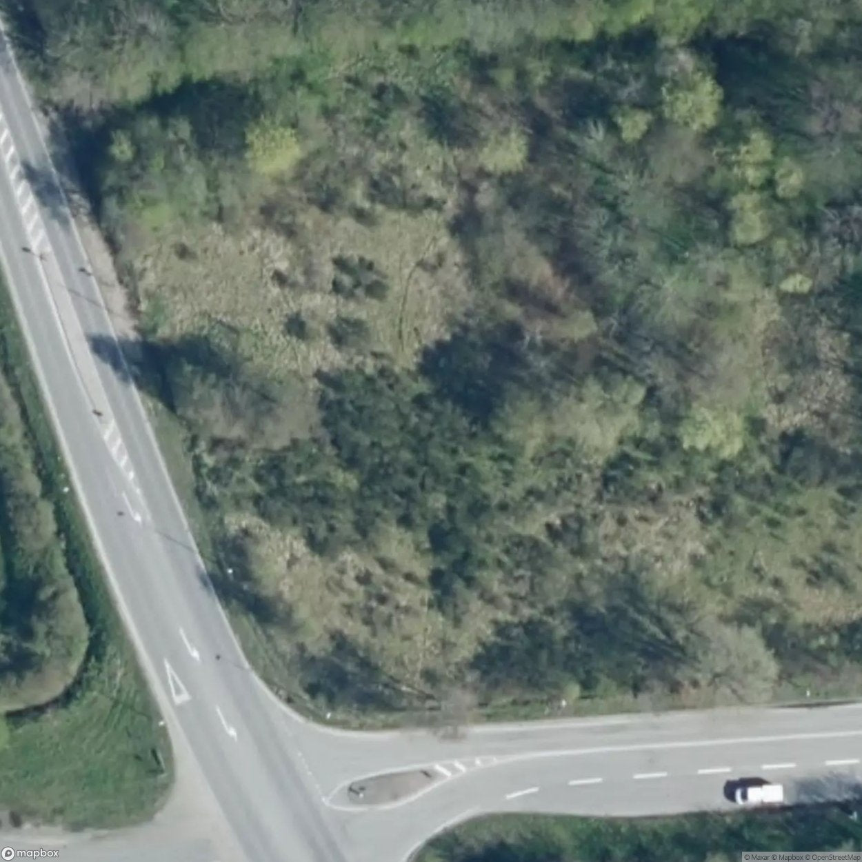 Homestead / Guesthouse [DNK]