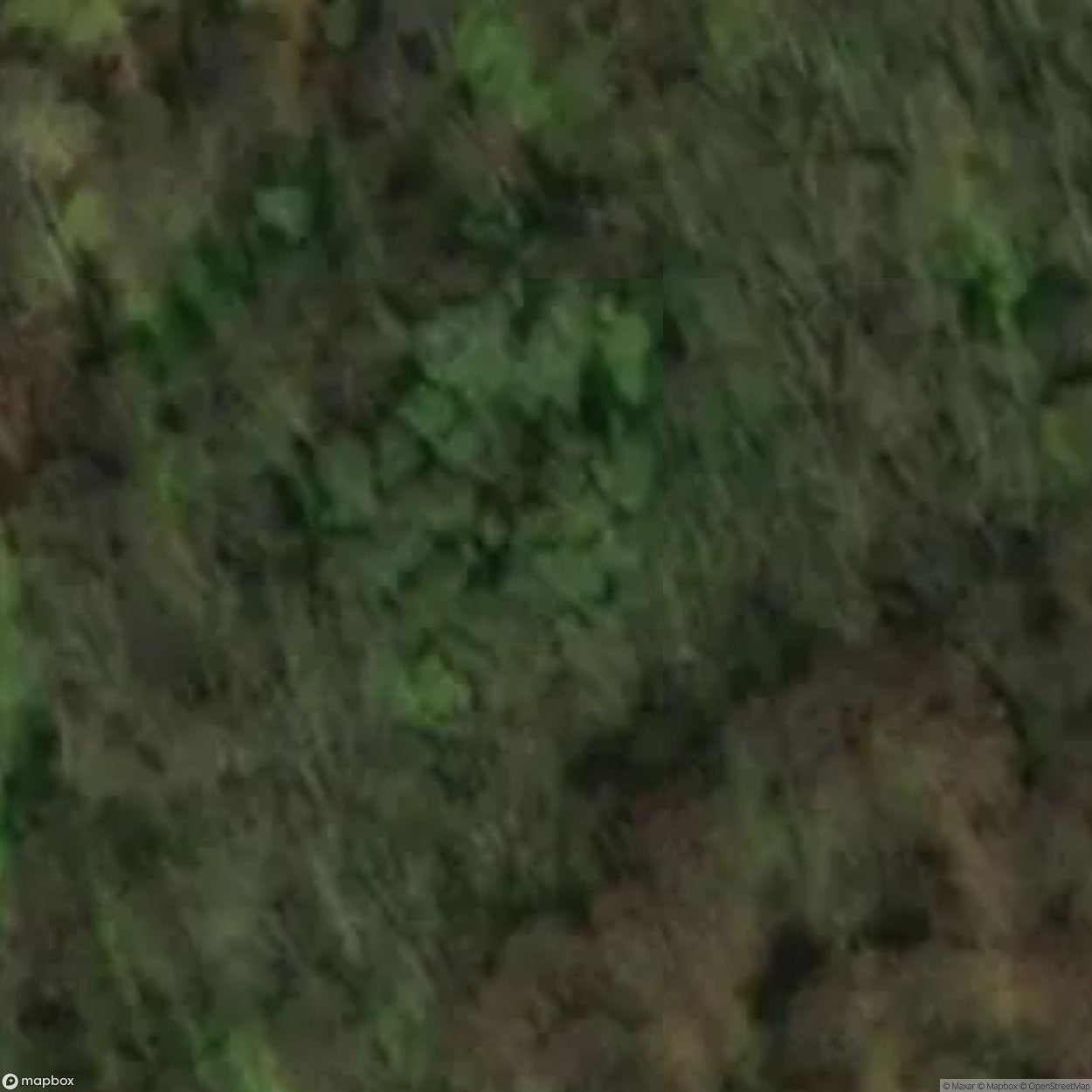 The Count and The Countess [POL]