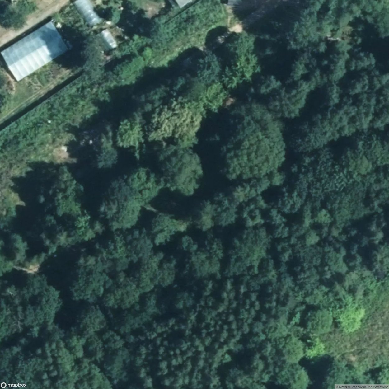 Railway Coal Line [DEU]