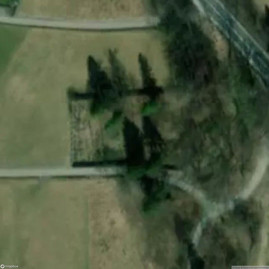 Jewish cemetery [POL]