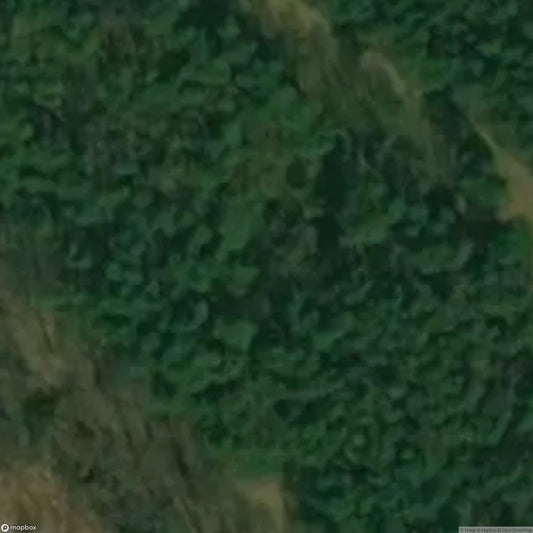 House in the woods [POL]