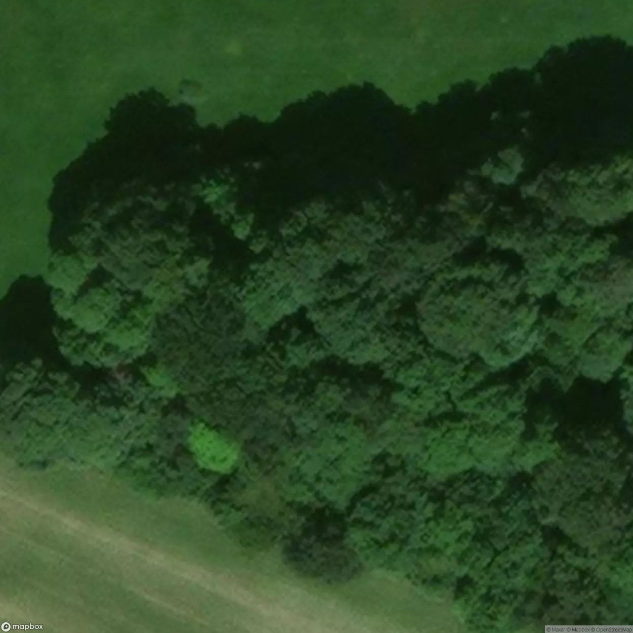Windrush Quarry [GBR] #06677