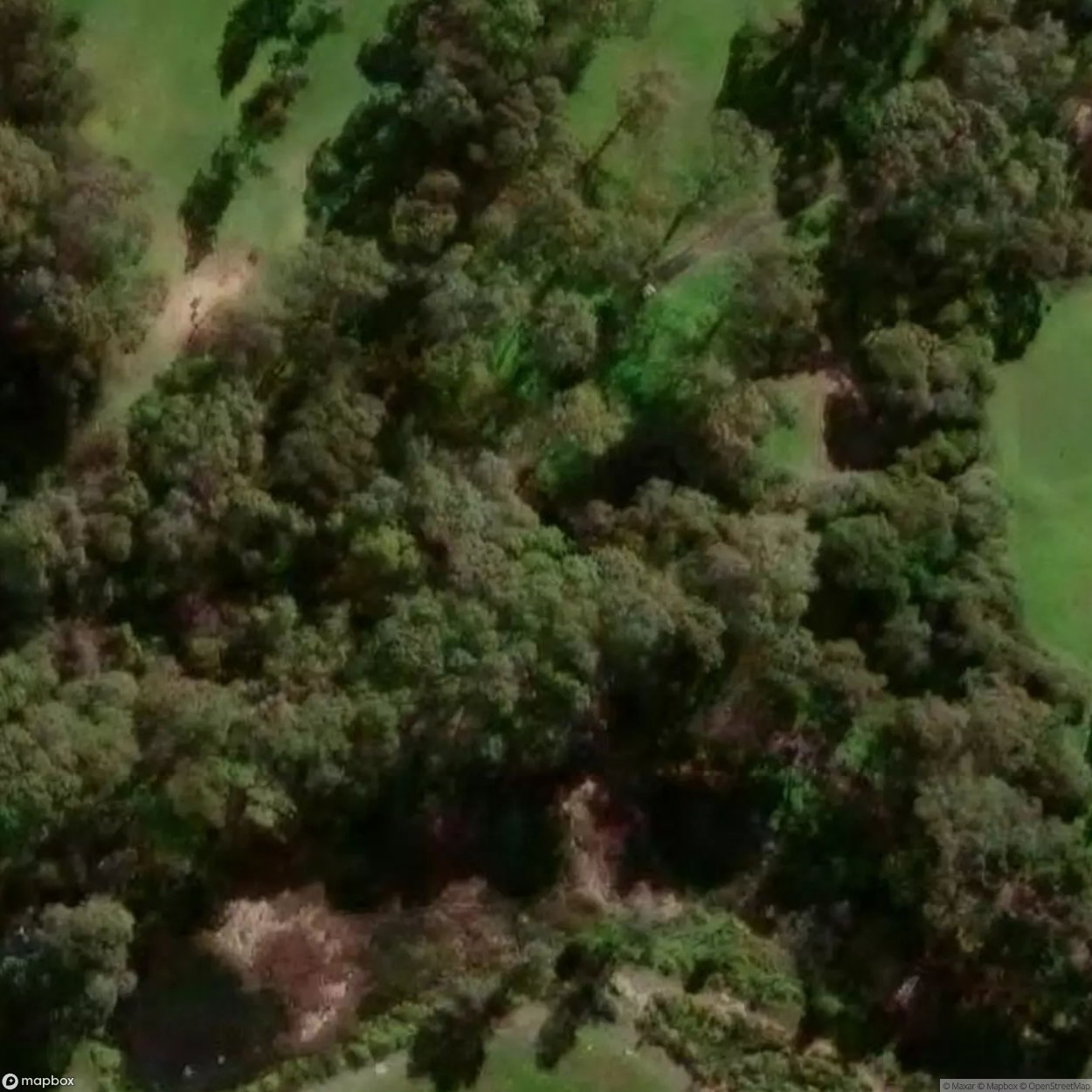 Café Dianetics [AUS]