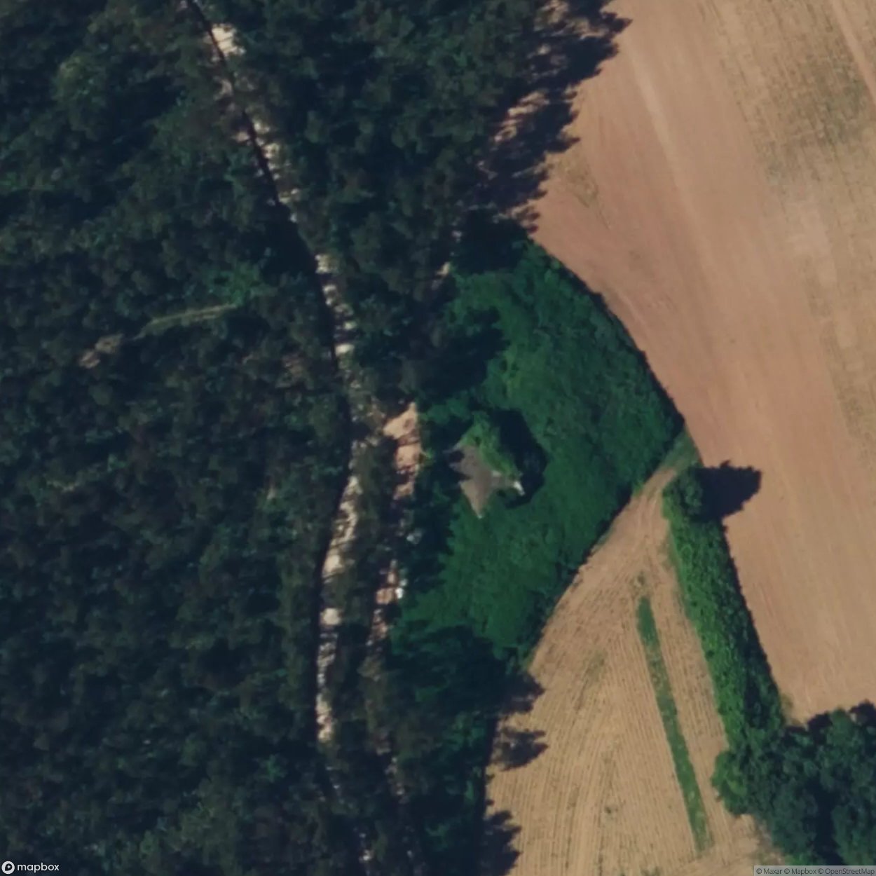 House in the woods [PRT]