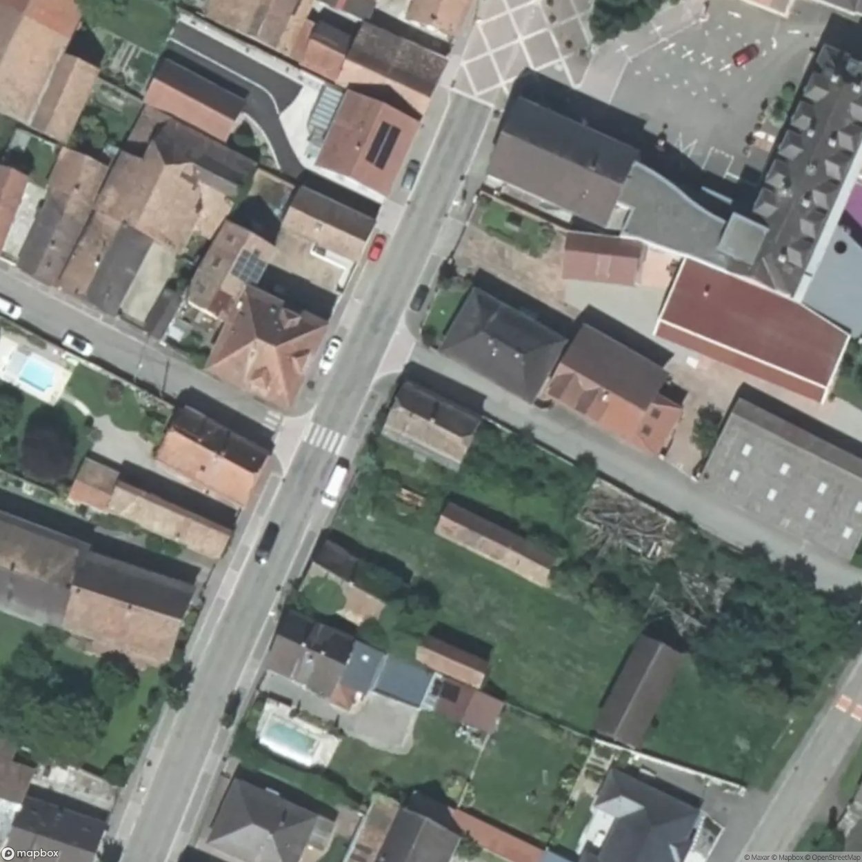 House Garlic Clove / House Garlic Clove [FRA]