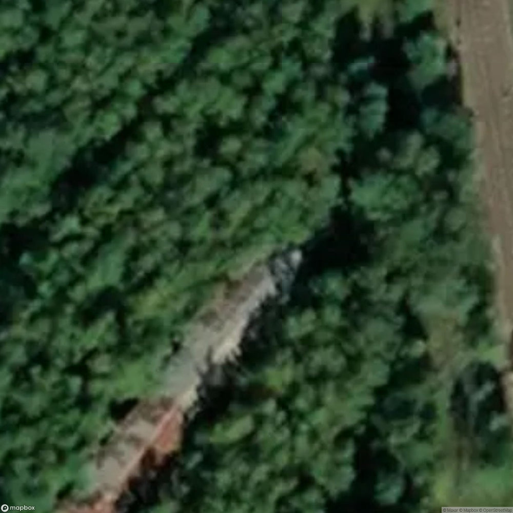 Cabin Green [SWE] #00171