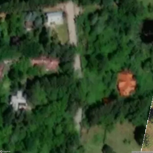 Golden Serpus Complex [POL]