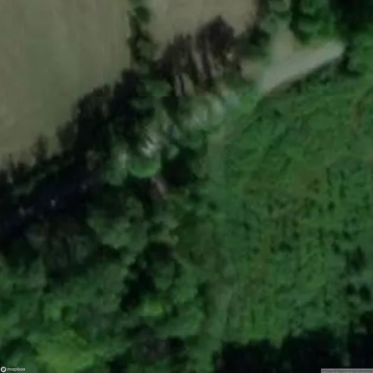 Four Seasons of Vivaldi [BEL]