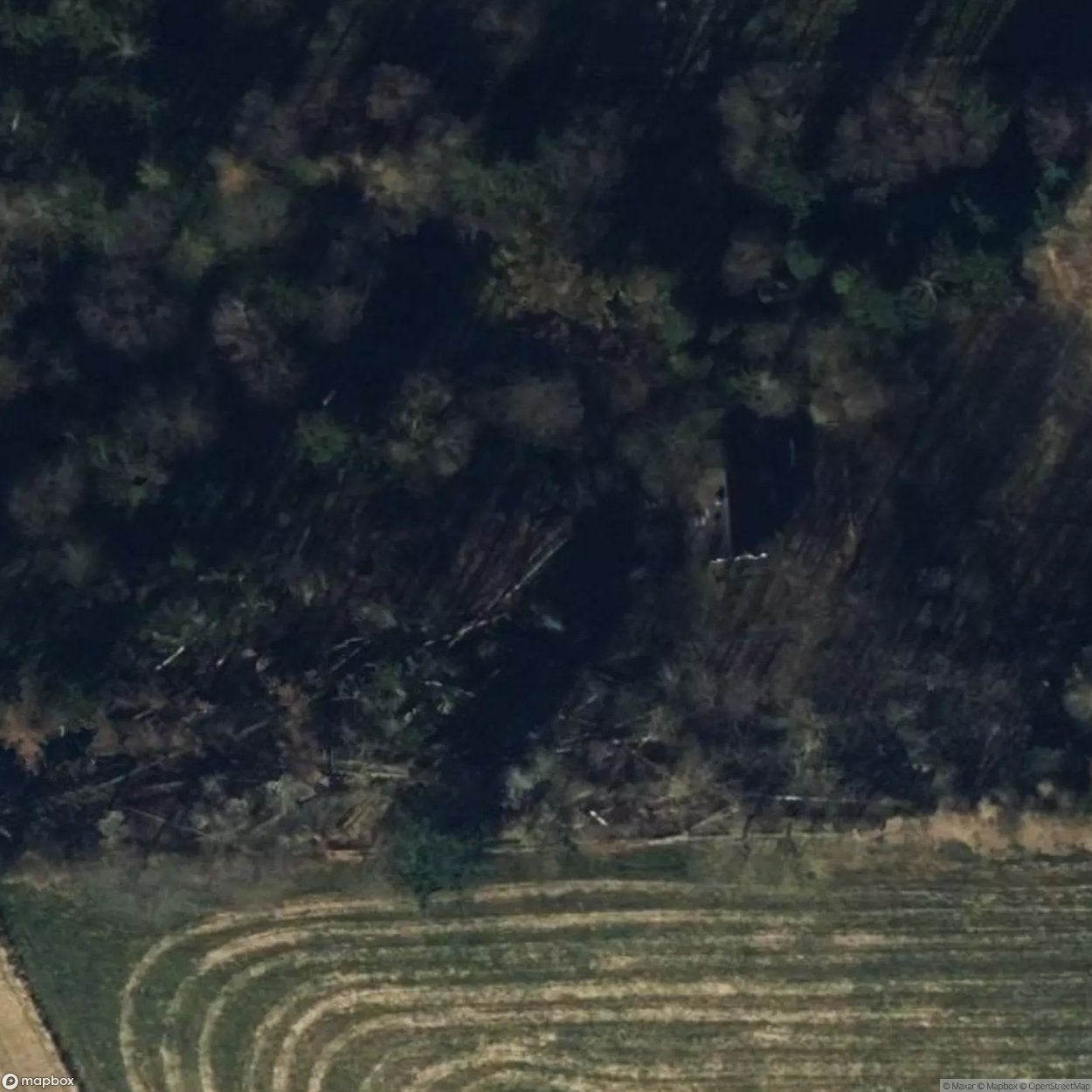 House Prymonte [DEU]