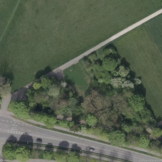 House of the Mother Murderer [DEU]